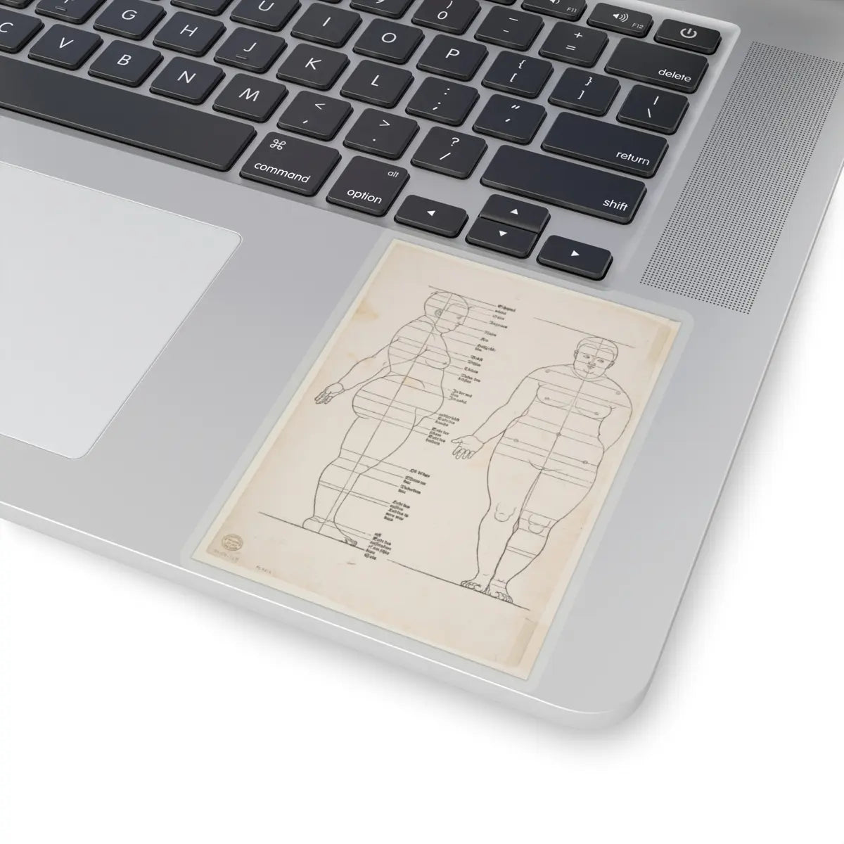 SKU:TSS-STICK-LBRDRR-4X4-13SHA Sizes:4" × 4" Types:Transparent
