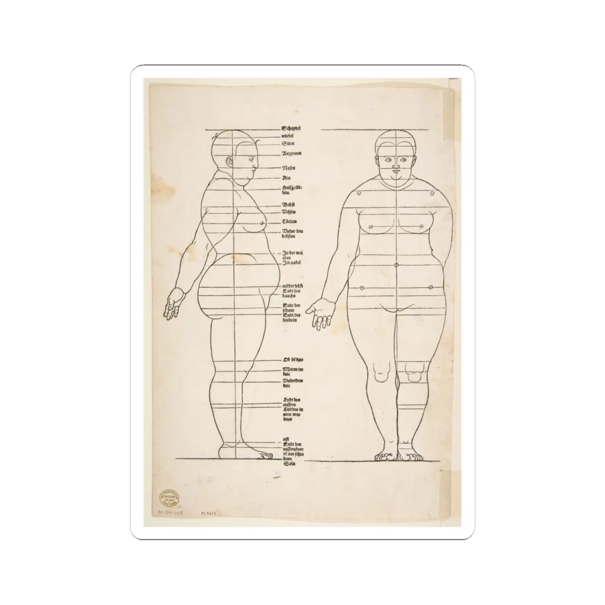 SKU:TSS-STICK-LBRDRR-4X4-179 Sizes:4" × 4" Types:White