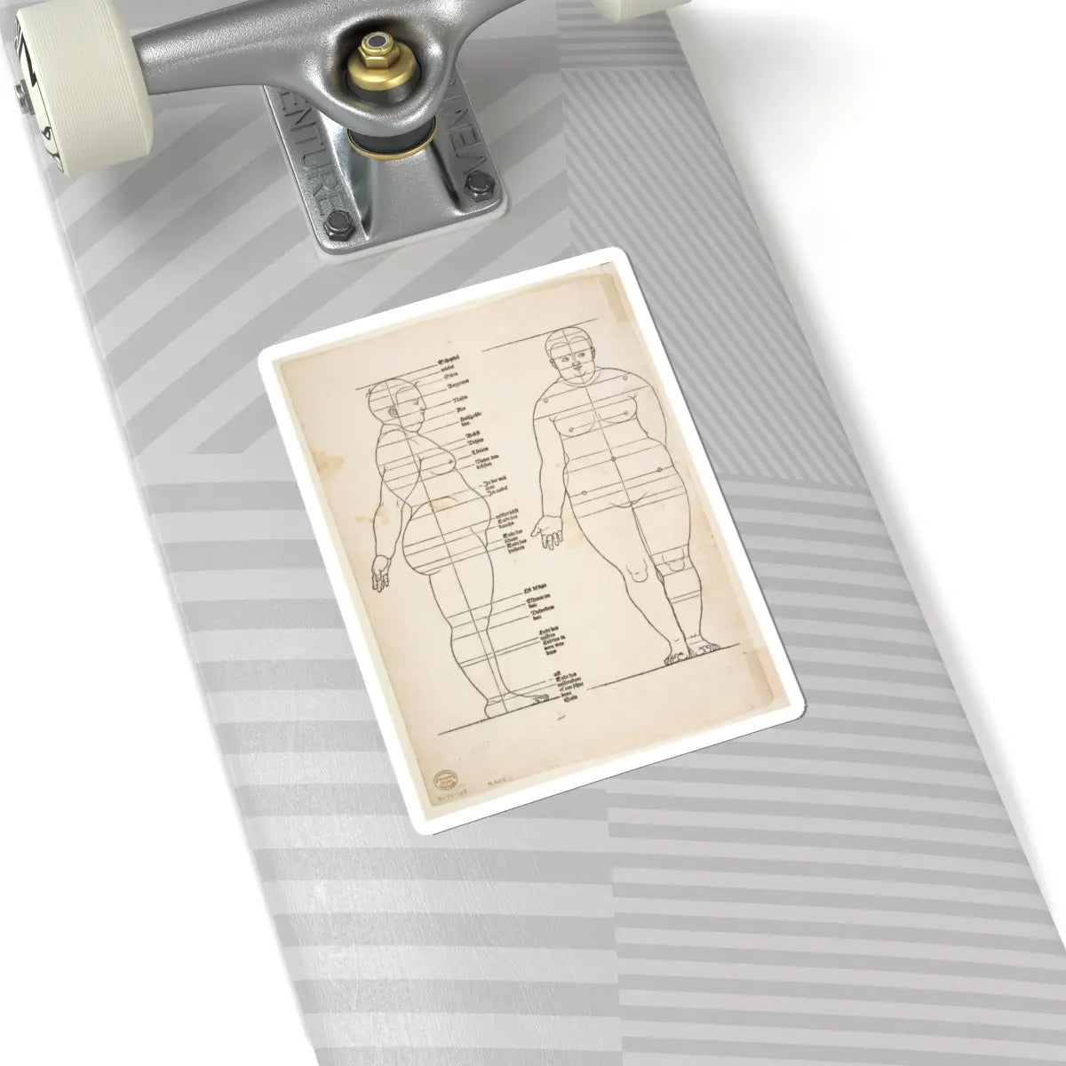 SKU:TSS-STICK-LBRDRR-6X6-179 Sizes:6" × 6" Types:White