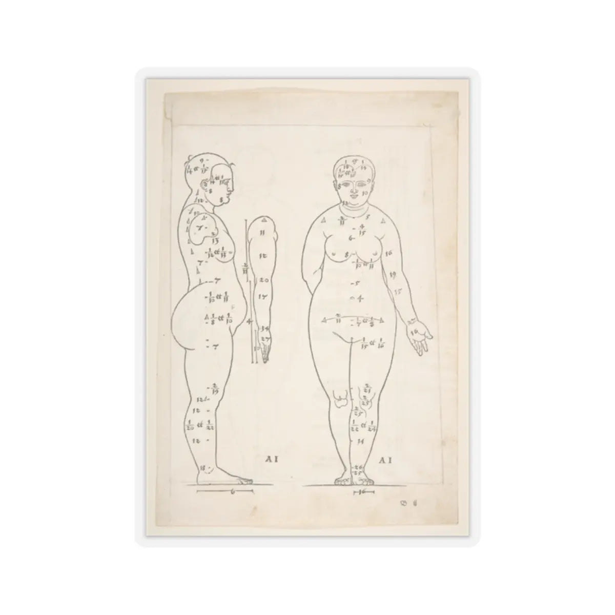 SKU:TSS-STICK-LBRDRR-2X2-13SHE Sizes:2" × 2" Types:Transparent