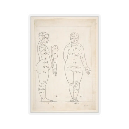 SKU:TSS-STICK-LBRDRR-2X2-13SHE Sizes:2" × 2" Types:Transparent