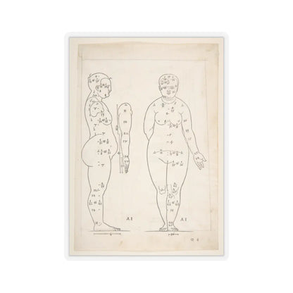 SKU:TSS-STICK-LBRDRR-3X3-13SHE Sizes:3" × 3" Types:Transparent