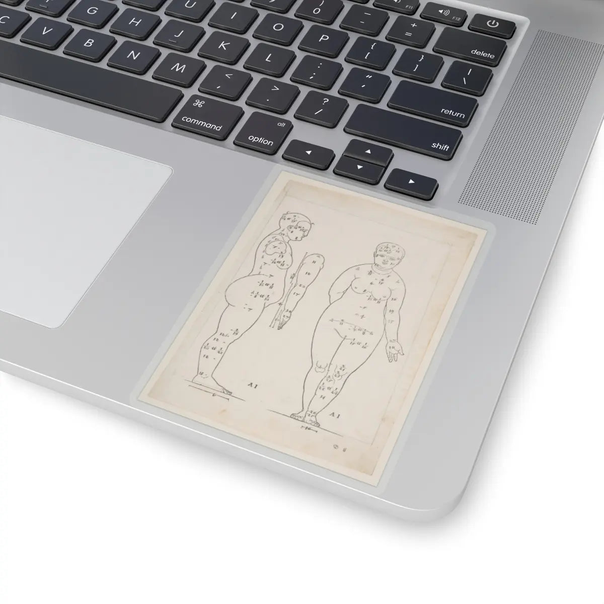 SKU:TSS-STICK-LBRDRR-4X4-13SHE Sizes:4" × 4" Types:Transparent