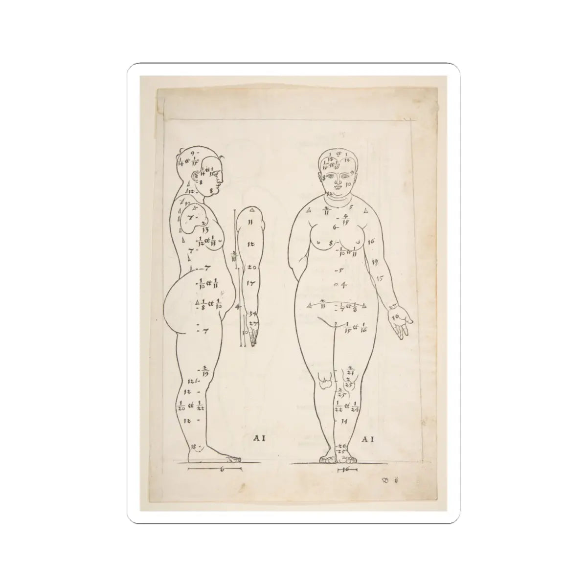 SKU:TSS-STICK-LBRDRR-4X4-183 Sizes:4" × 4" Types:White