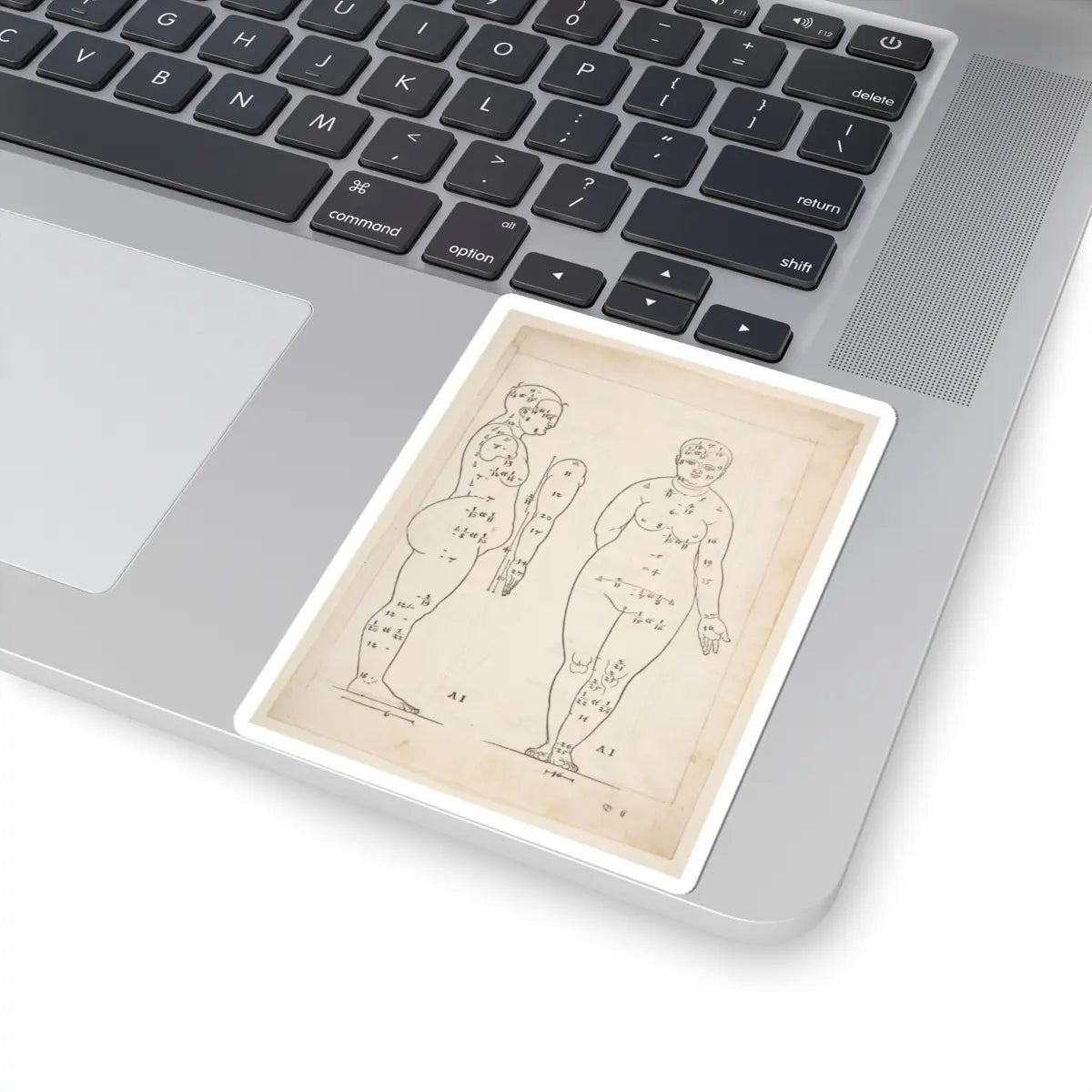 SKU:TSS-STICK-LBRDRR-4X4-183 Sizes:4" × 4" Types:White