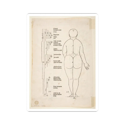 SKU:TSS-STICK-LBRDRR-2X2-184 Sizes:2" × 2" Types:White