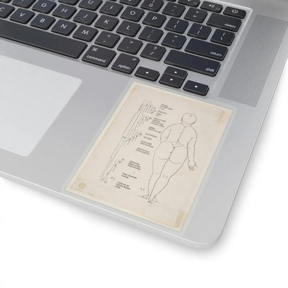 SKU:TSS-STICK-LBRDRR-4X4-13SHF Sizes:4" × 4" Types:Transparent