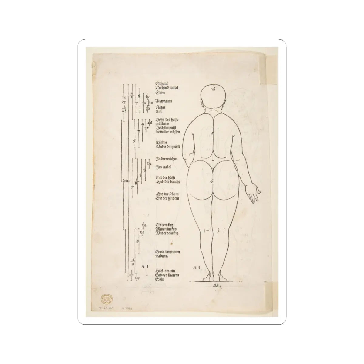 SKU:TSS-STICK-LBRDRR-4X4-184 Sizes:4" × 4" Types:White