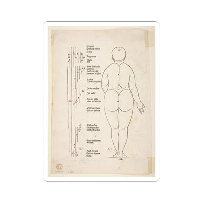 SKU:TSS-STICK-LBRDRR-4X4-184 Sizes:4" × 4" Types:White