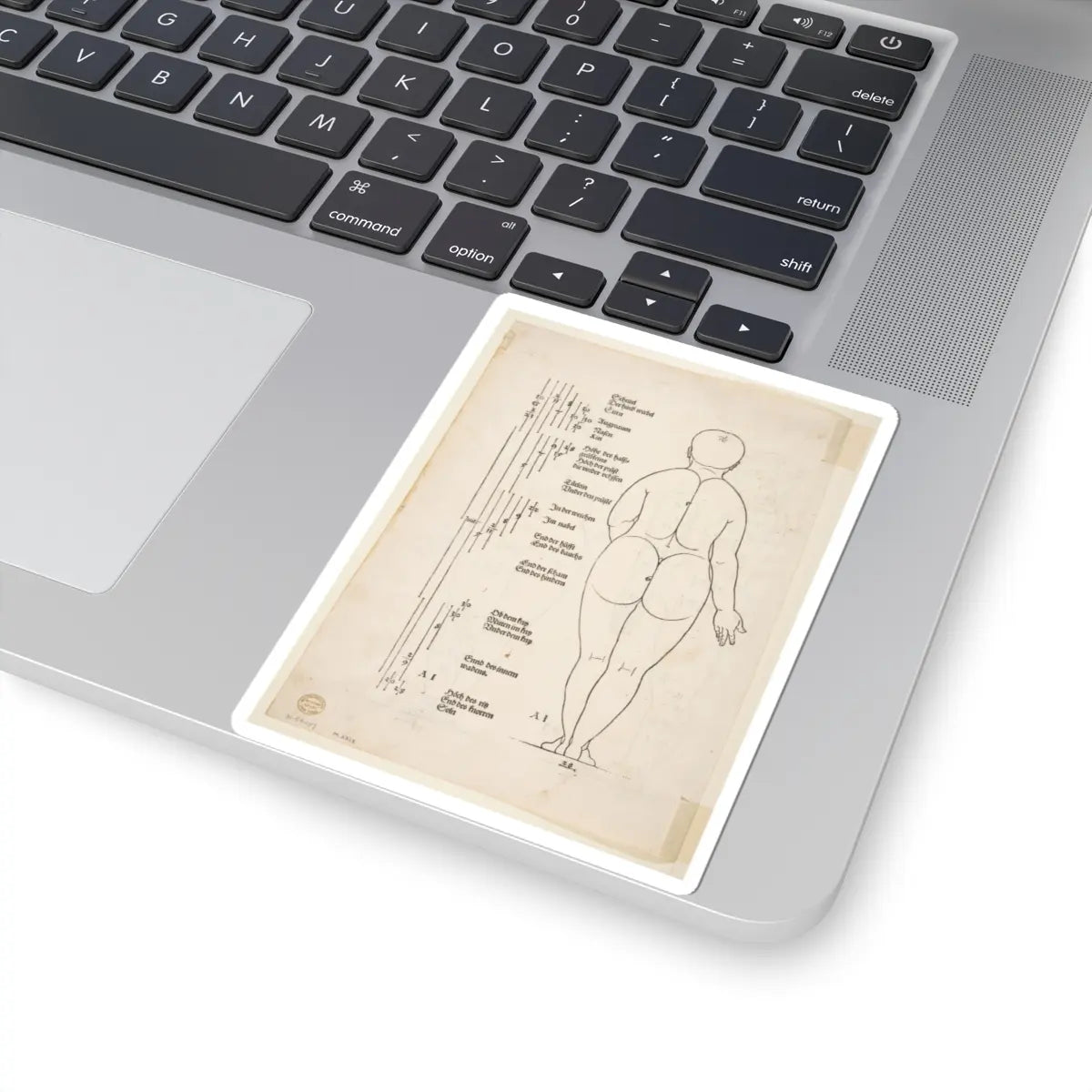 SKU:TSS-STICK-LBRDRR-4X4-184 Sizes:4" × 4" Types:White