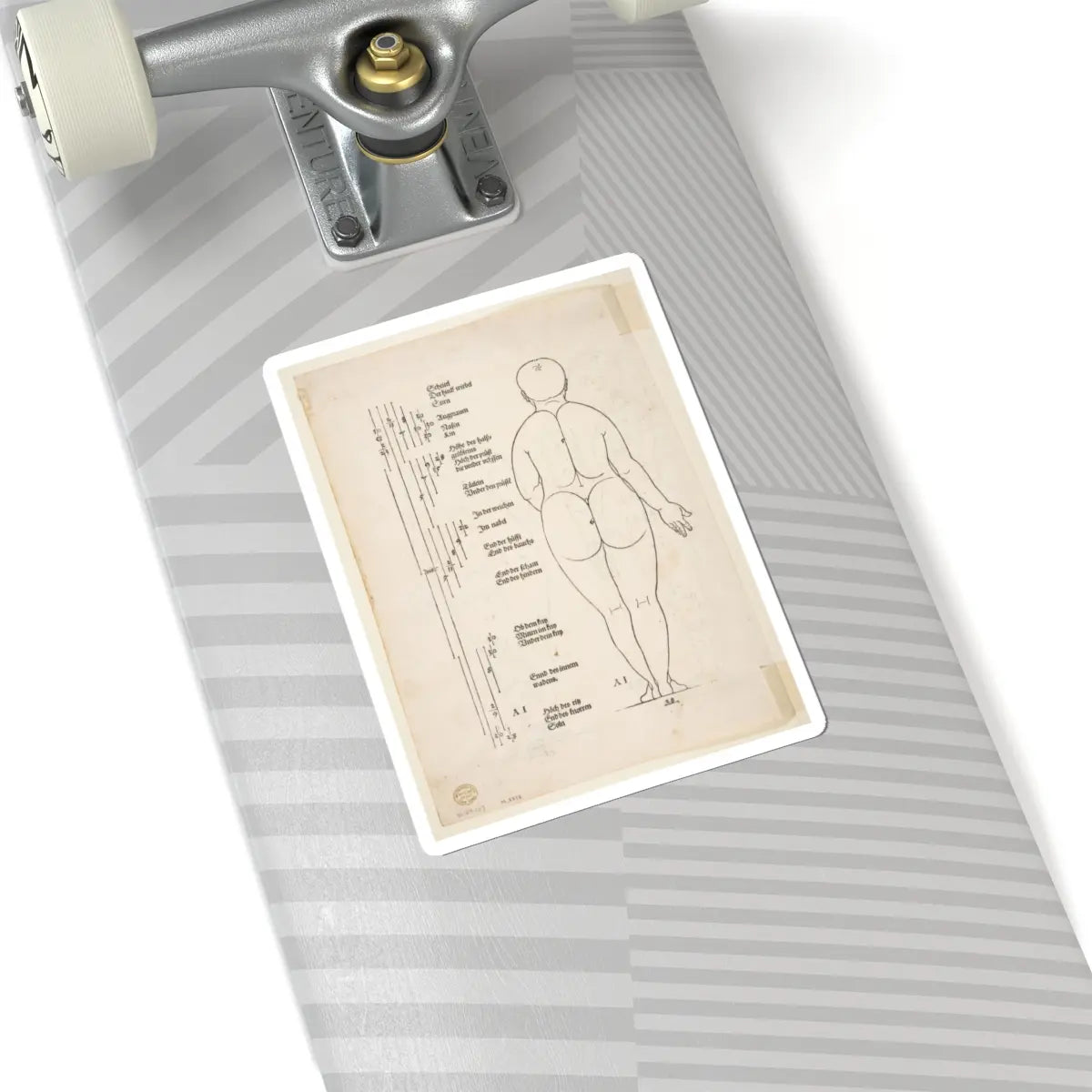 SKU:TSS-STICK-LBRDRR-6X6-184 Sizes:6" × 6" Types:White