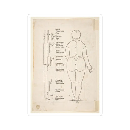 SKU:TSS-STICK-LBRDRR-6X6-184 Sizes:6" × 6" Types:White