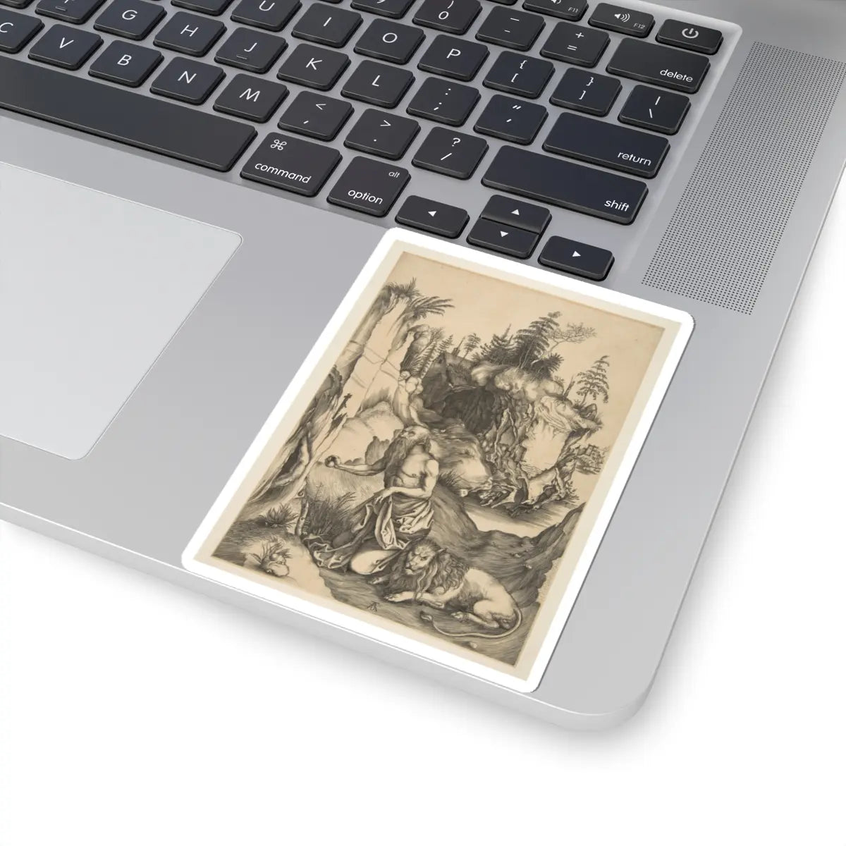 SKU:TSS-STICK-LBRDRR-4X4-274 Sizes:4" × 4" Types:White