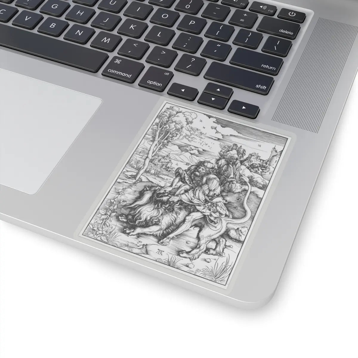 SKU:TSS-STICK-LBRDRR-4X4-13SL6 Sizes:4" × 4" Types:Transparent