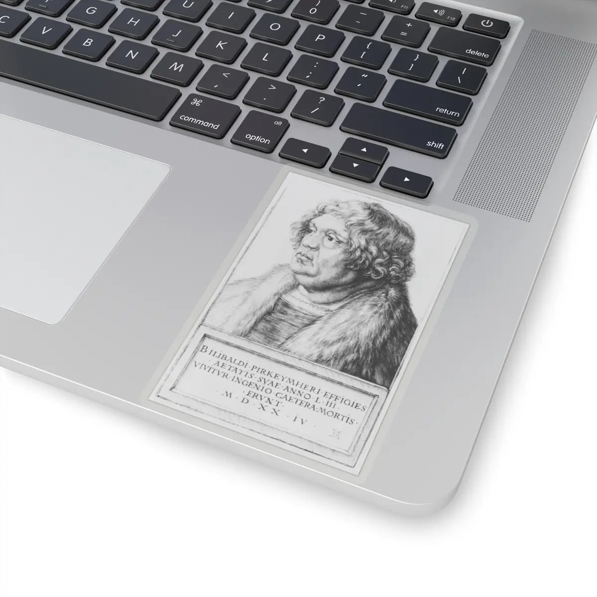 SKU:TSS-STICK-LBRDRR-4X4-13SVF Sizes:4" × 4" Types:Transparent