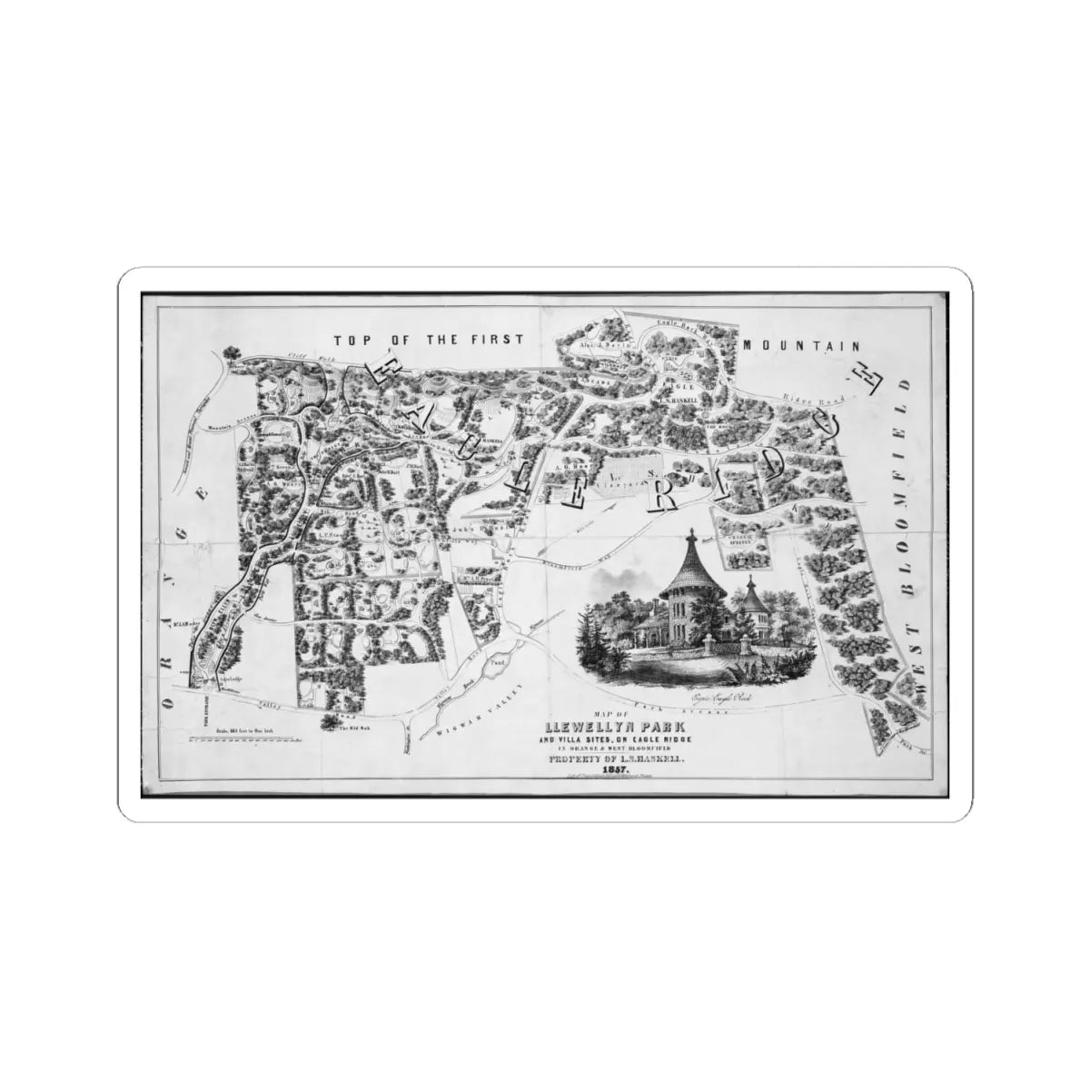 SKU:TSS-STICK-LXNJCK-4X4-3 Sizes:4" × 4" Types:White