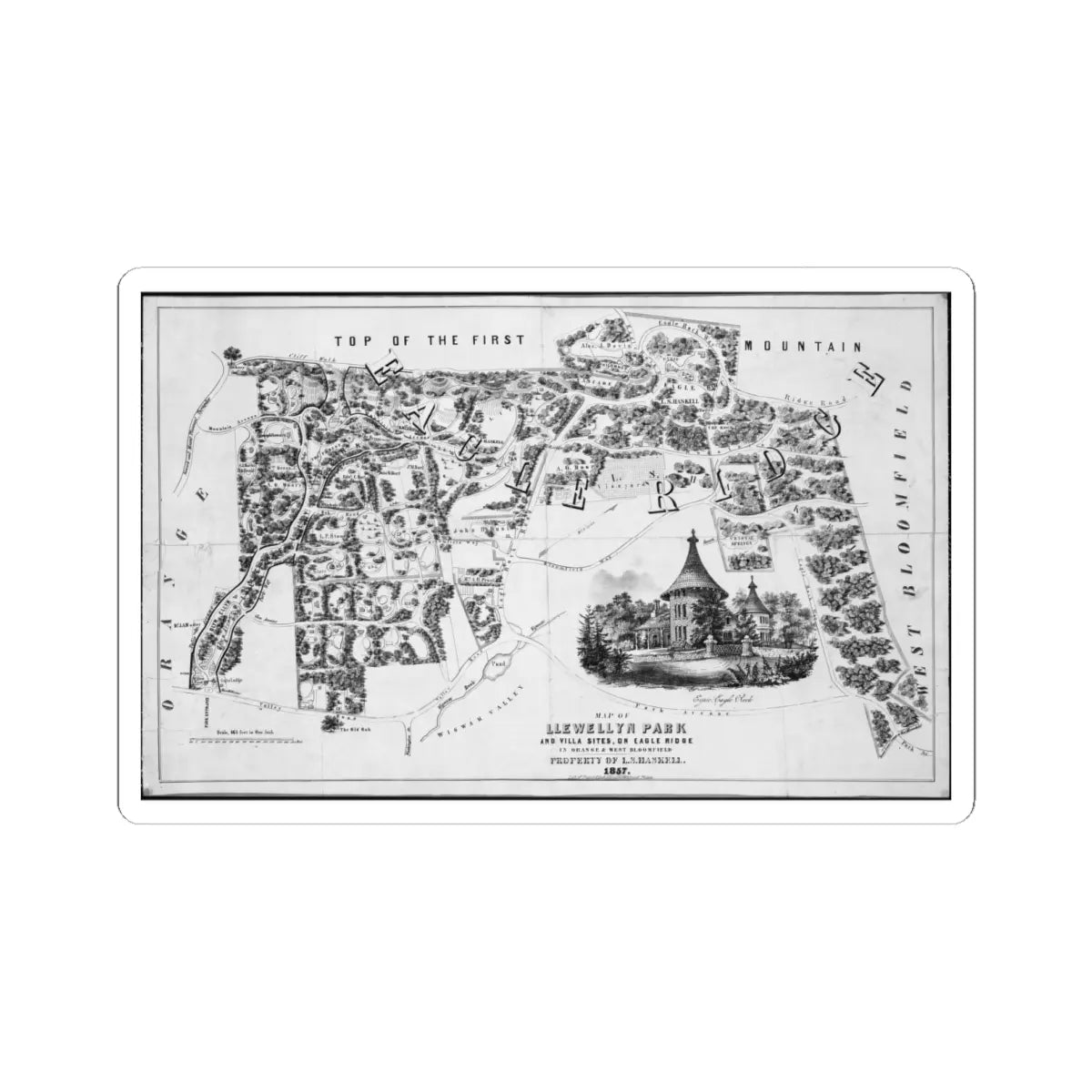 SKU:TSS-STICK-LXNJCK-6X6-3 Sizes:6" × 6" Types:White
