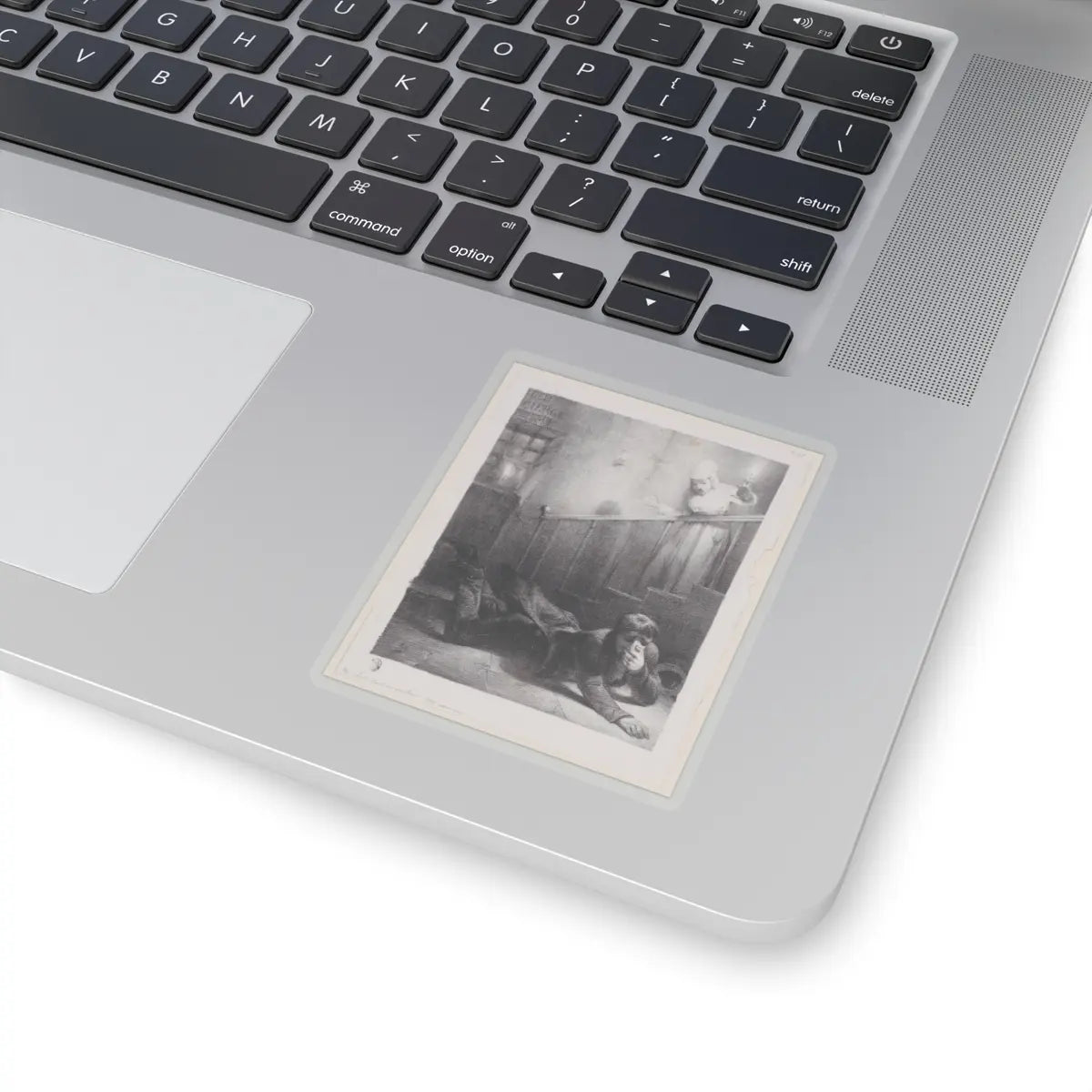 SKU:TSS-STICK-LXNGBR-3X3-13SWV Sizes:3" × 3" Types:Transparent