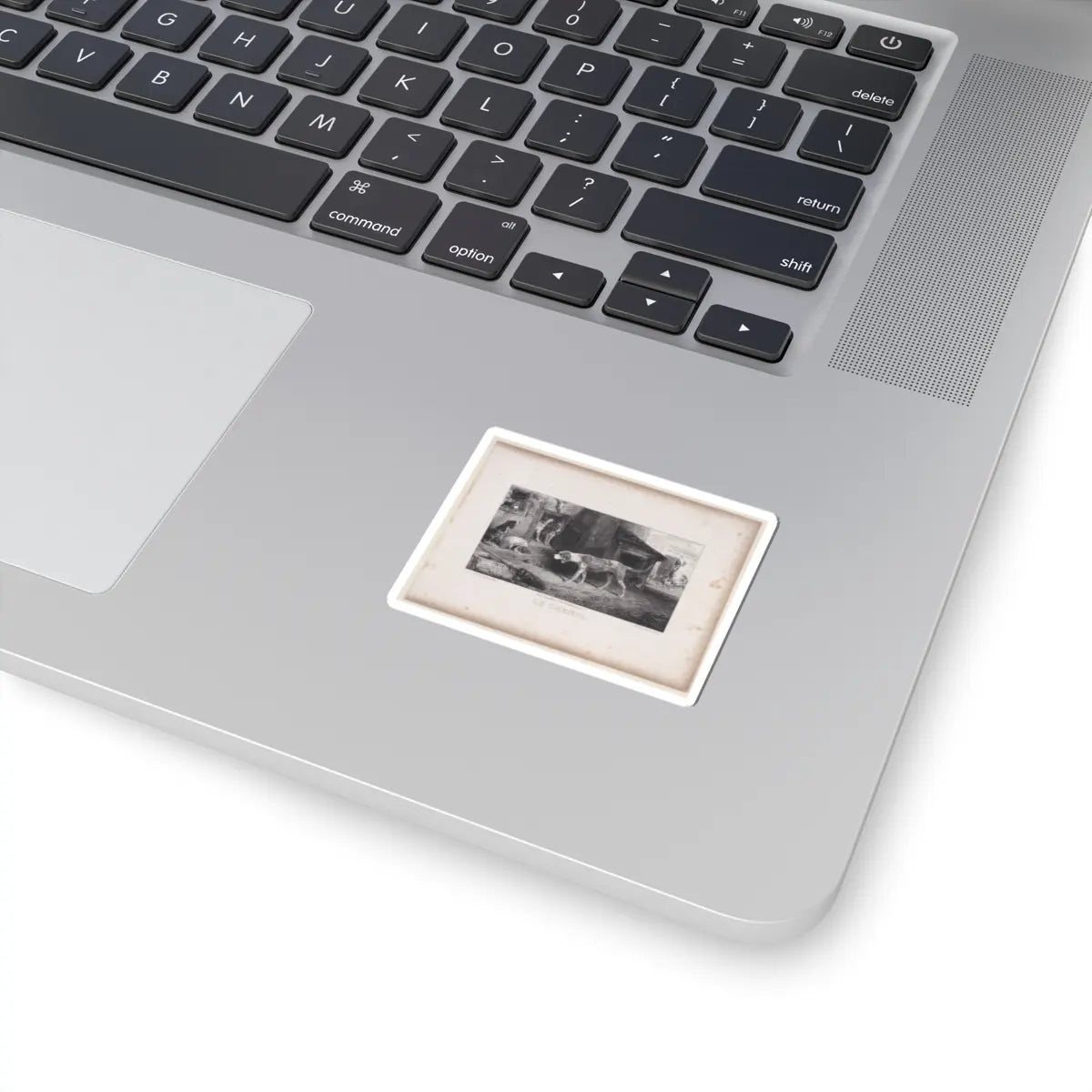 SKU:TSS-STICK-LXNGBR-2X2-26 Sizes:2" × 2" Types:White