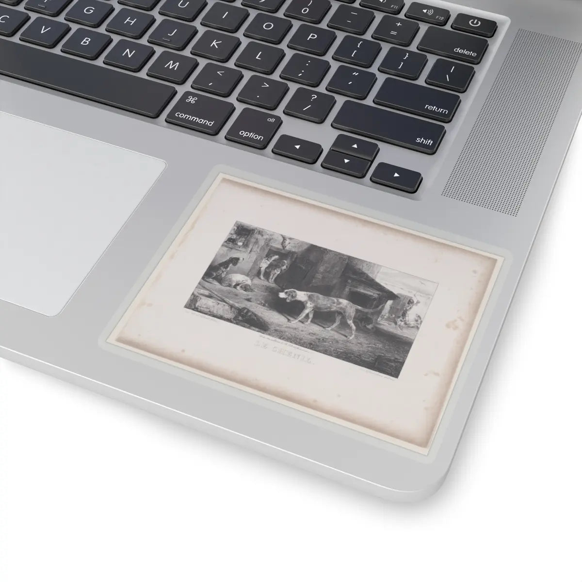 SKU:TSS-STICK-LXNGBR-4X4-13SXJ Sizes:4" × 4" Types:Transparent