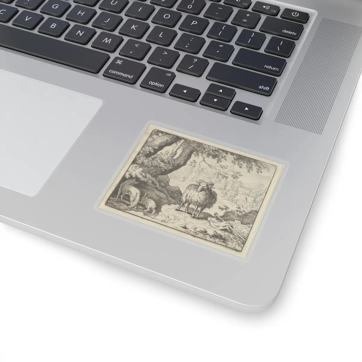 SKU:TSS-STICK-LLRVN-3X3-13SZX Sizes:3" × 3" Types:Transparent