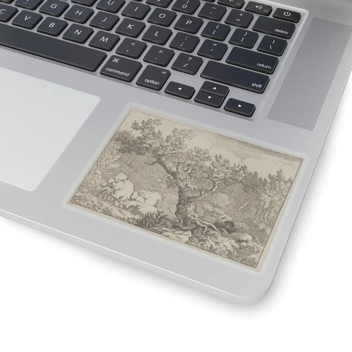 SKU:TSS-STICK-LLRVN-4X4-13T2C Sizes:4" × 4" Types:Transparent