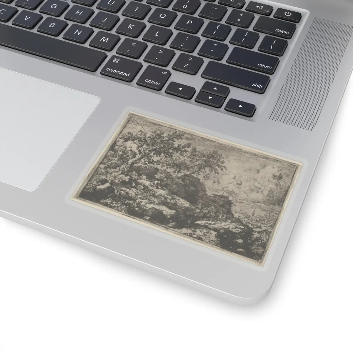 SKU:TSS-STICK-LLRVN-4X4-13T2U Sizes:4" × 4" Types:Transparent