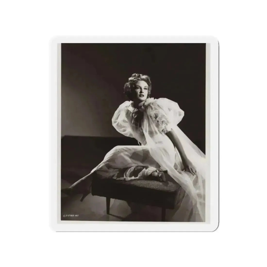 Allison Hayes #177 (Vintage Female Icon) Refrigerator Magnet - The Sticker Space