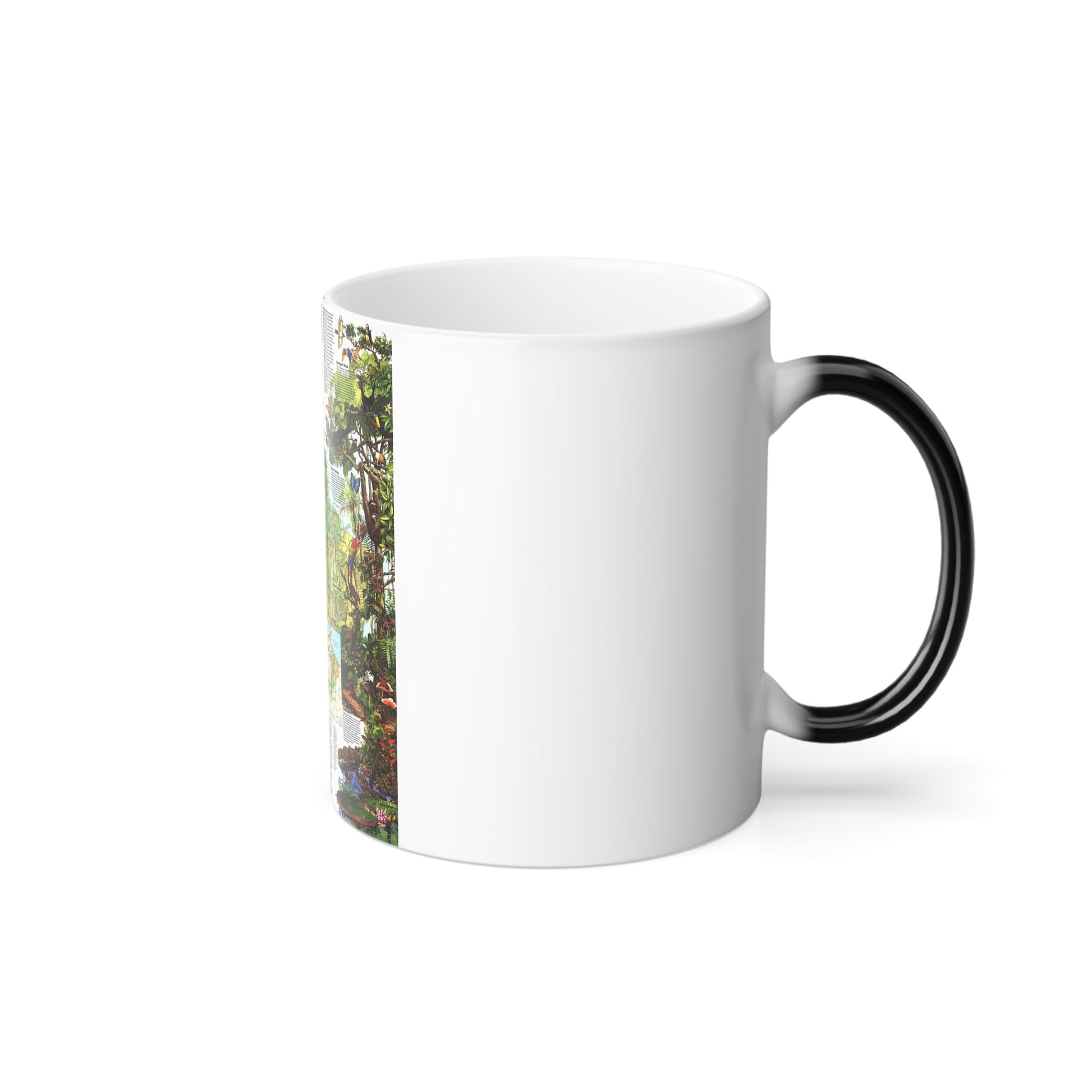 Amazonia - A World Resource at Risk (1992) (Map) Color Changing Mug 11oz-11oz-The Sticker Space