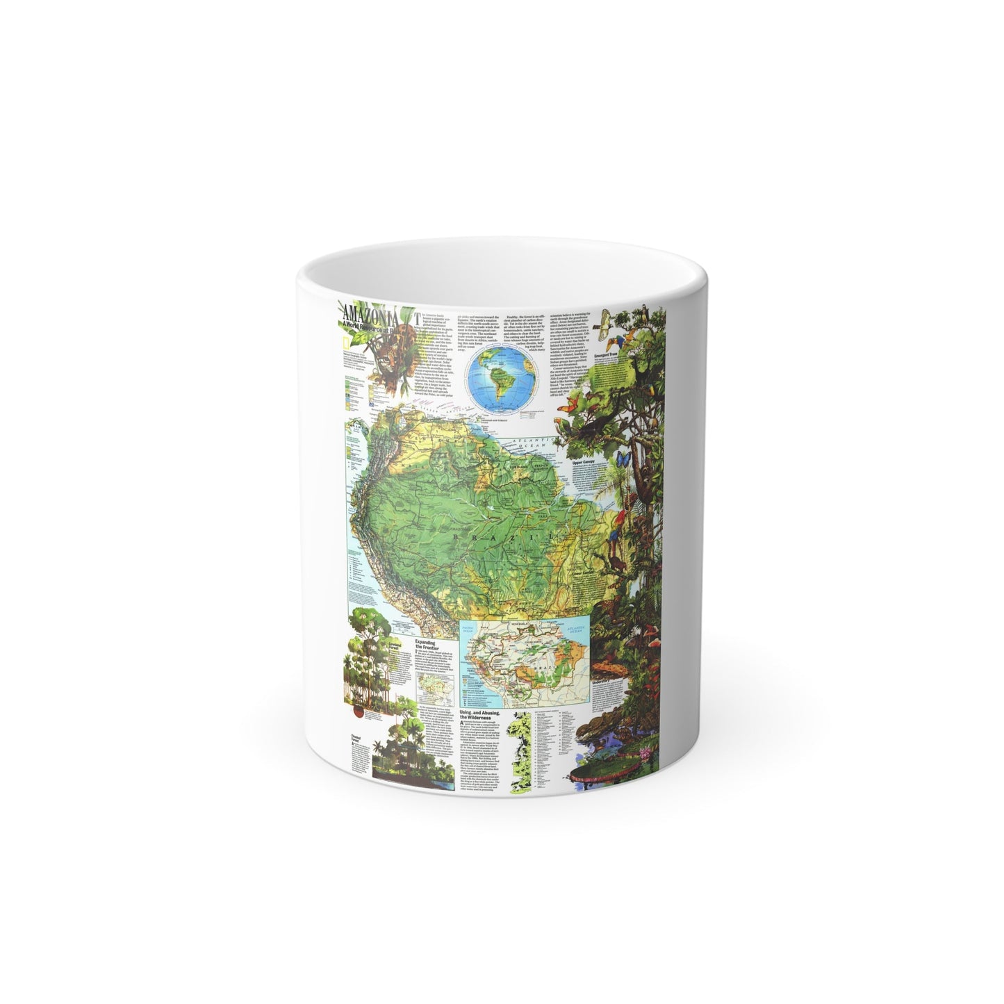 Amazonia - A World Resource at Risk (1992) (Map) Color Changing Mug 11oz-11oz-The Sticker Space