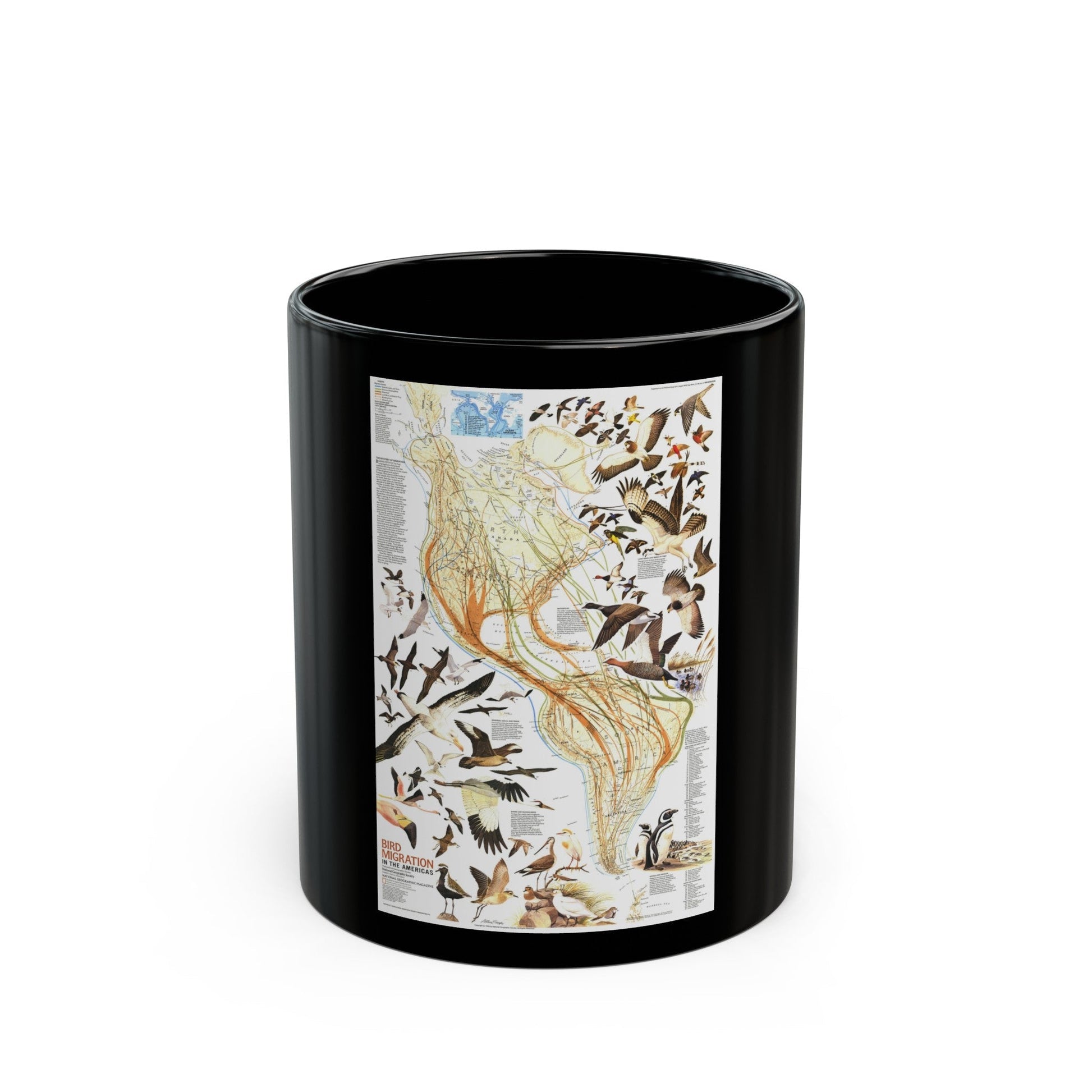 America - Bird Migration (1969) (Map) Black Coffee Mug-11oz-The Sticker Space