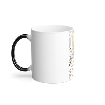 America - Bird Migration (1969) (Map) Color Changing Mug 11oz-11oz-The Sticker Space