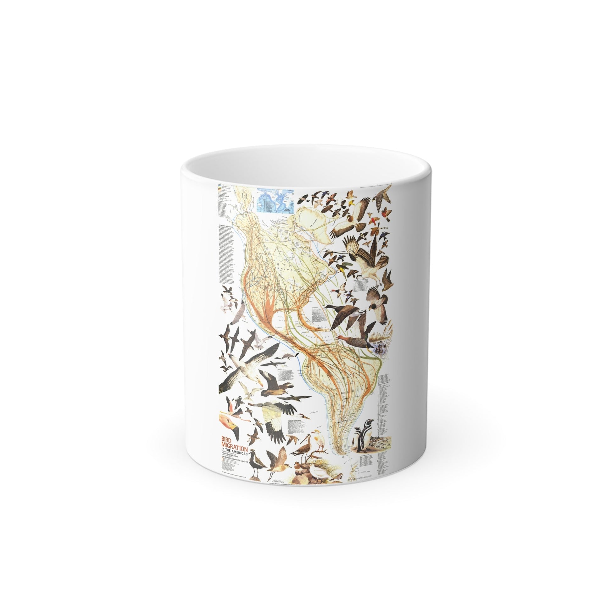 America - Bird Migration (1969) (Map) Color Changing Mug 11oz-11oz-The Sticker Space