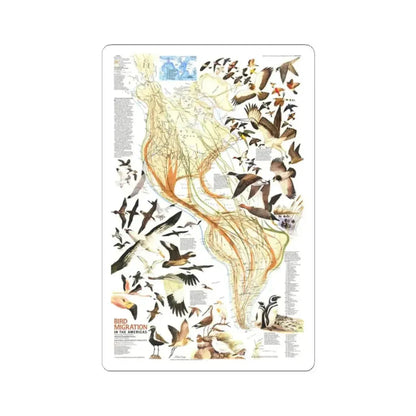 America - Bird Migration (1969) (Map) STICKER Vinyl Kiss-Cut Decal 2 Inch White - The Sticker Space