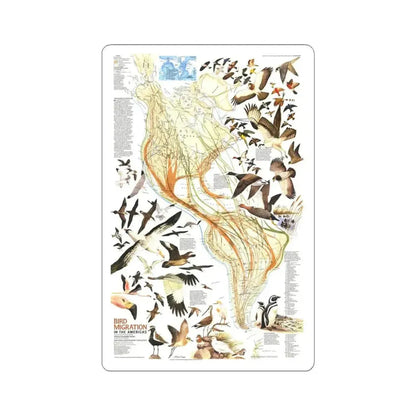 America - Bird Migration (1969) (Map) STICKER Vinyl Kiss-Cut Decal 4 Inch White - The Sticker Space