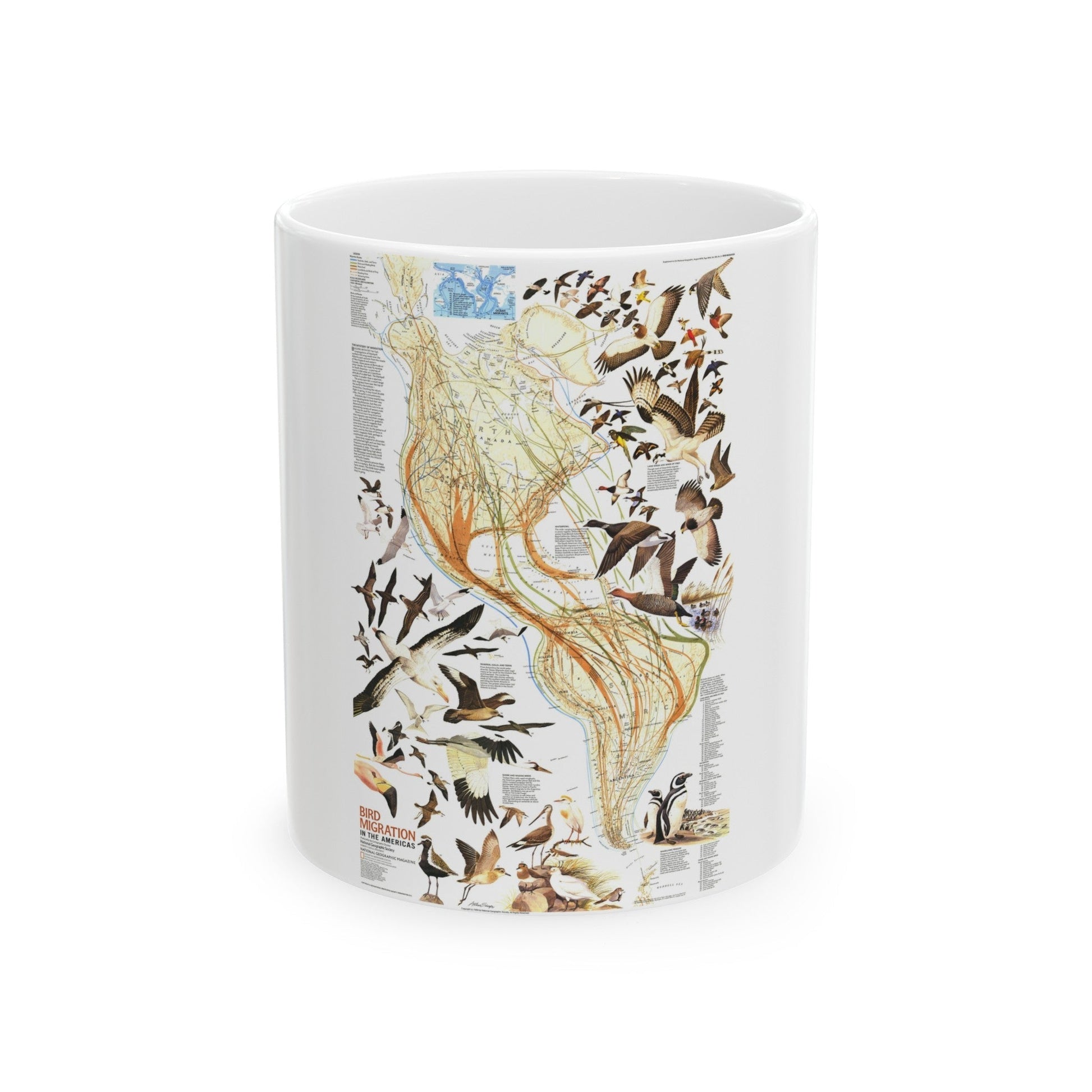 America - Bird Migration (1969) (Map) White Coffee Mug-11oz-The Sticker Space