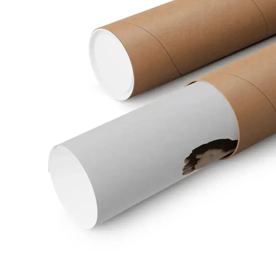 ANDY WARHOL'S DRACULA (2) 1974 - Paper Movie Poster - The Sticker Space