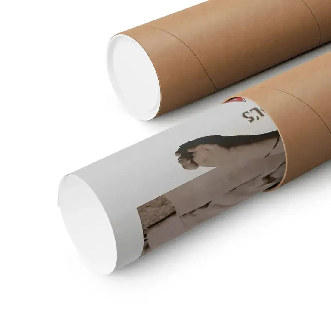 ANDY WARHOL'S DRACULA (2) 1974 - Paper Movie Poster - The Sticker Space