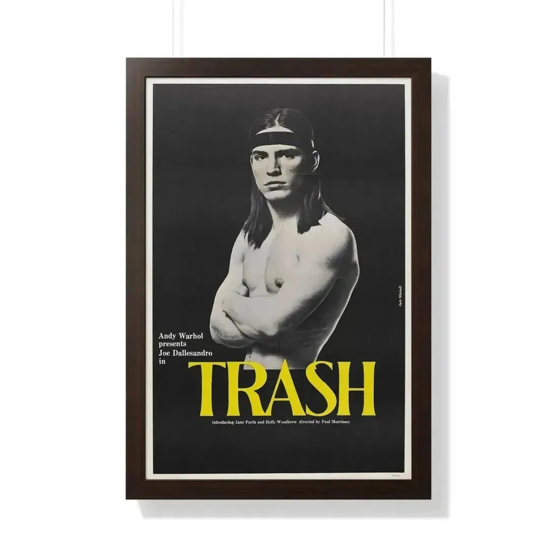 ANDY WARHOL'S TRASH 1970 - Framed Movie Poster - The Sticker Space