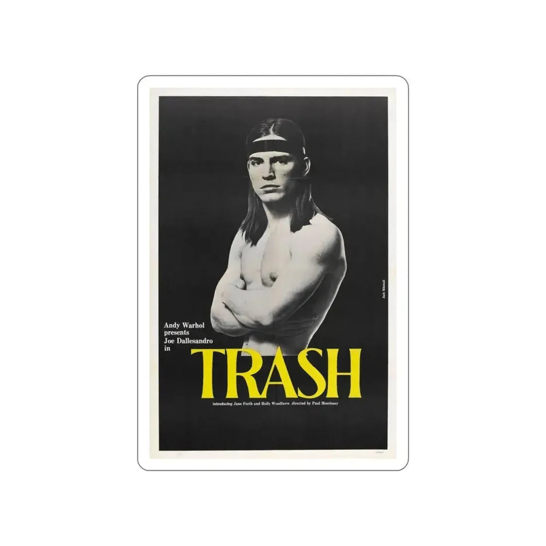 ANDY WARHOL'S TRASH 1970 Movie Poster STICKER Vinyl Die-Cut Decal 3 Inch - The Sticker Space