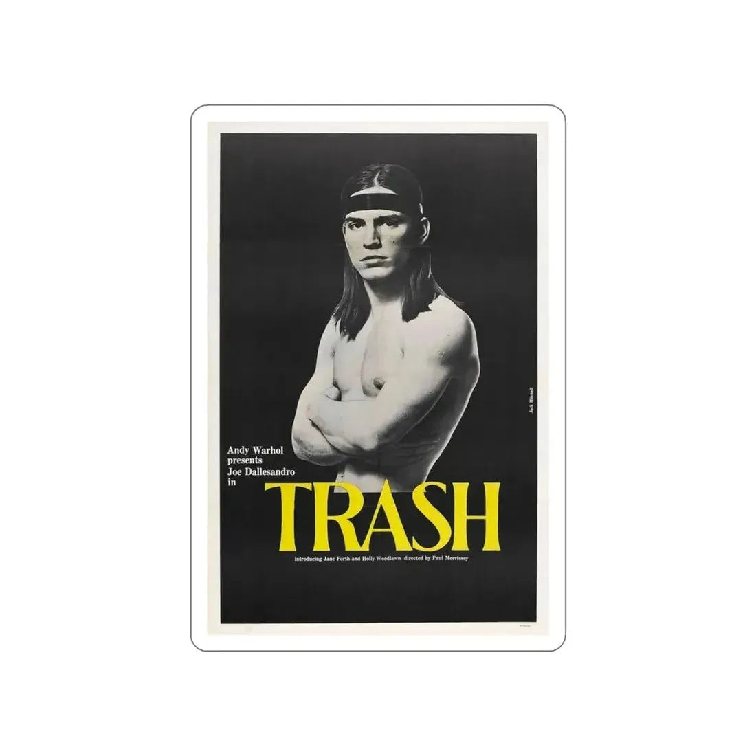 ANDY WARHOL'S TRASH 1970 Movie Poster STICKER Vinyl Die-Cut Decal 6 Inch - The Sticker Space