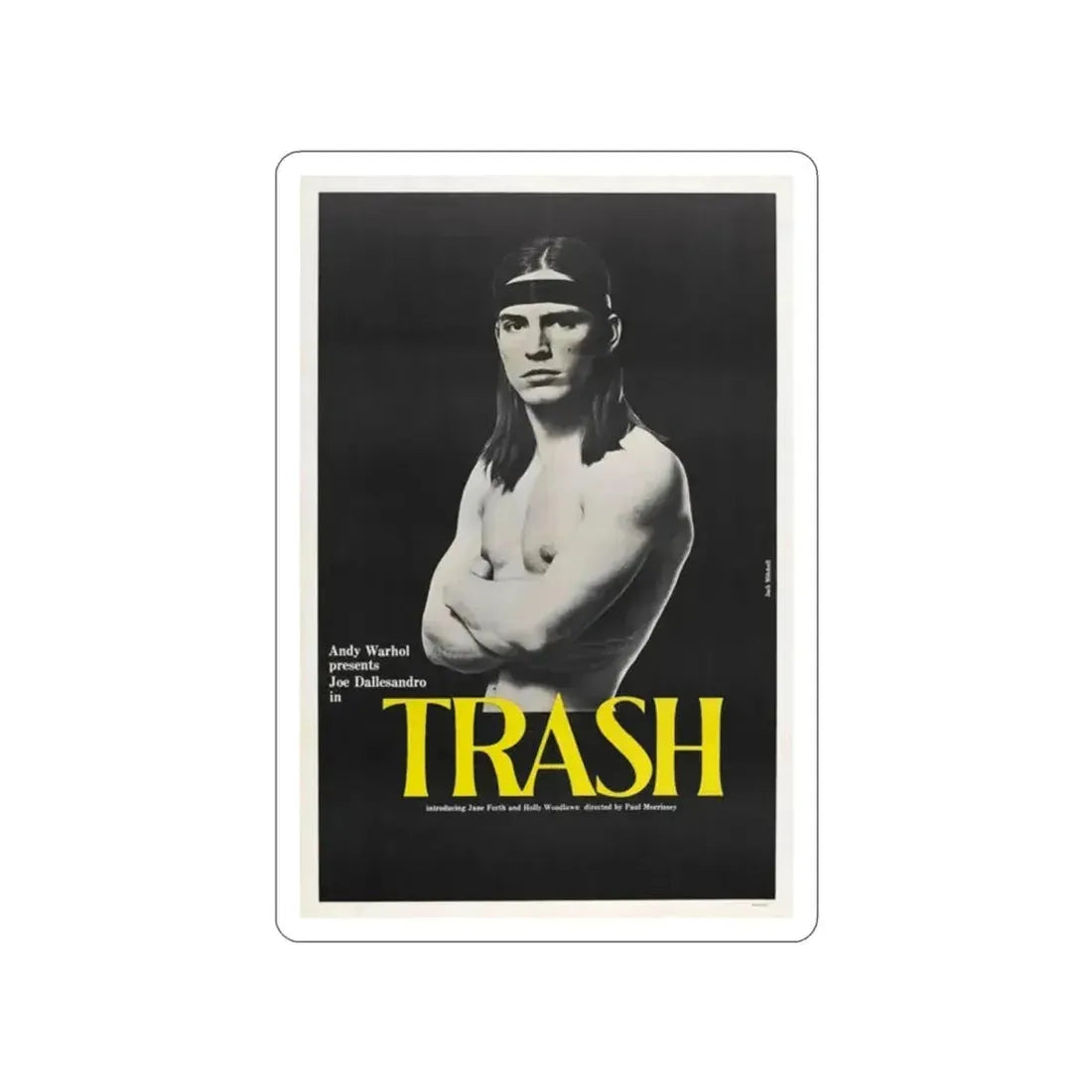 ANDY WARHOL'S TRASH 1970 Movie Poster STICKER Vinyl Die-Cut Decal - The Sticker Space