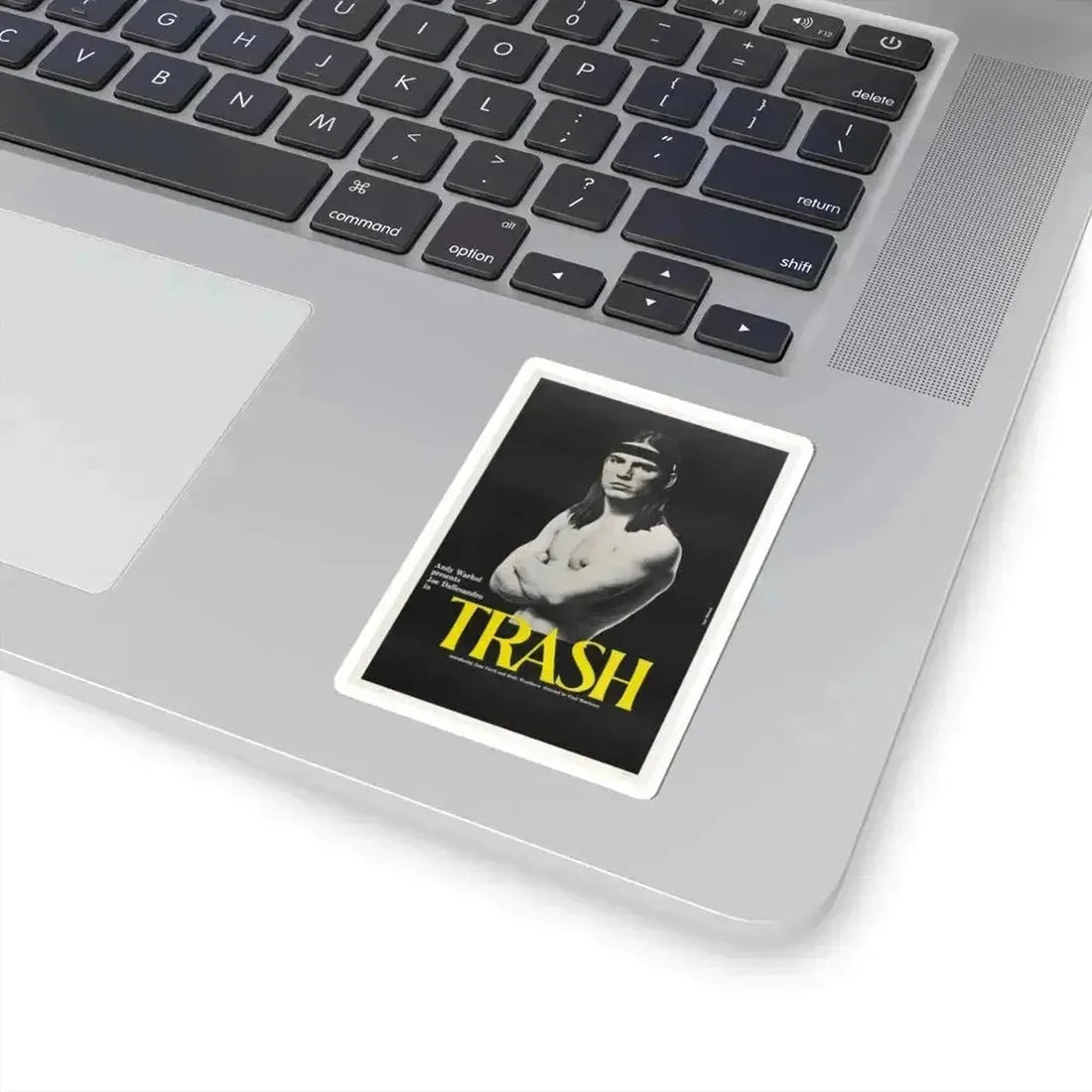 ANDY WARHOL'S TRASH 1970 Movie Poster - STICKER Vinyl Kiss-Cut Decal - The Sticker Space