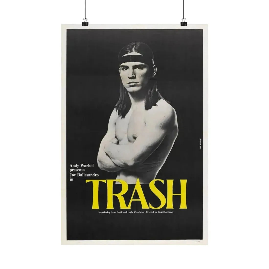 ANDY WARHOL'S TRASH 1970 - Paper Movie Poster 16″ x 24″ Matte - The Sticker Space