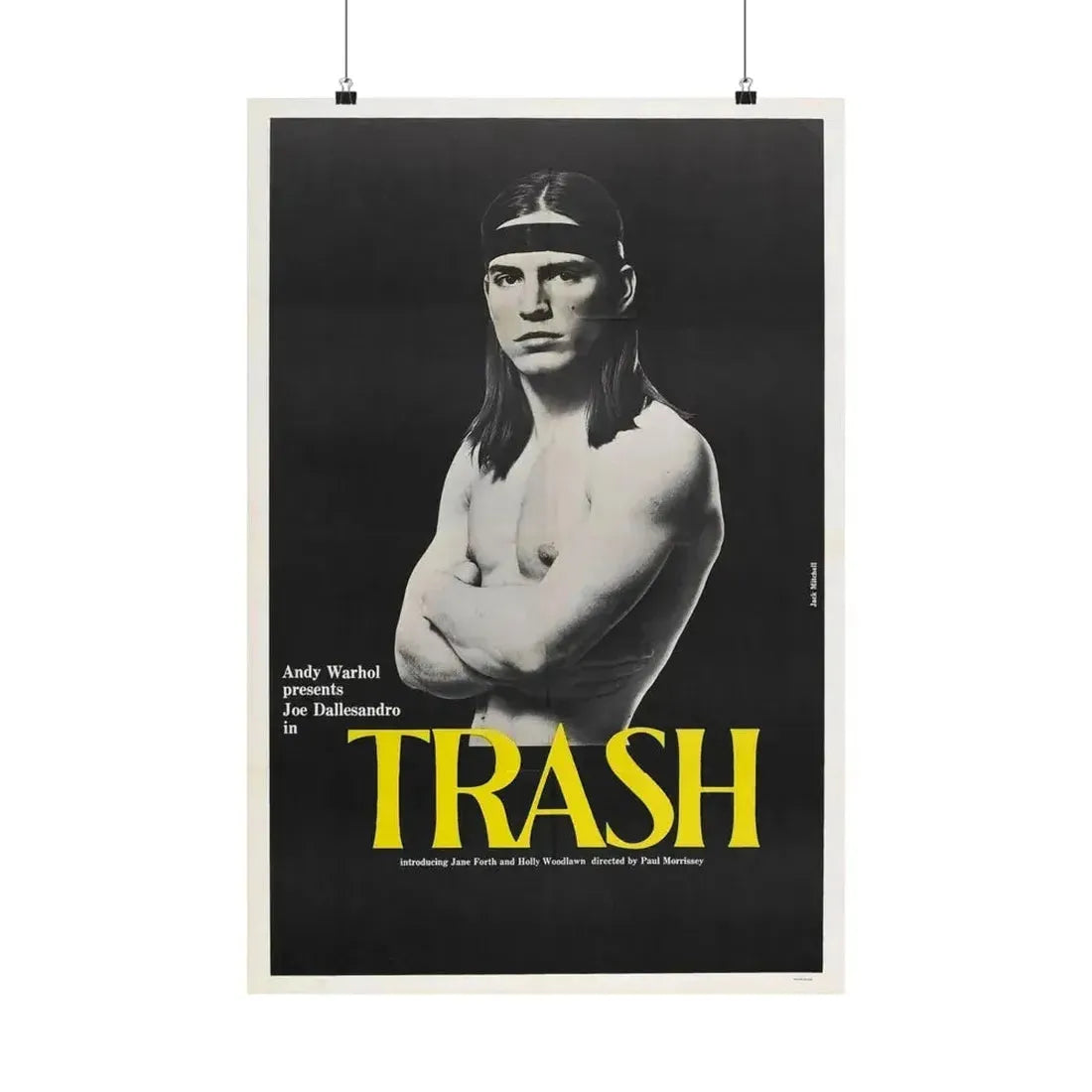 ANDY WARHOL'S TRASH 1970 - Paper Movie Poster 20″ x 30″ Matte - The Sticker Space