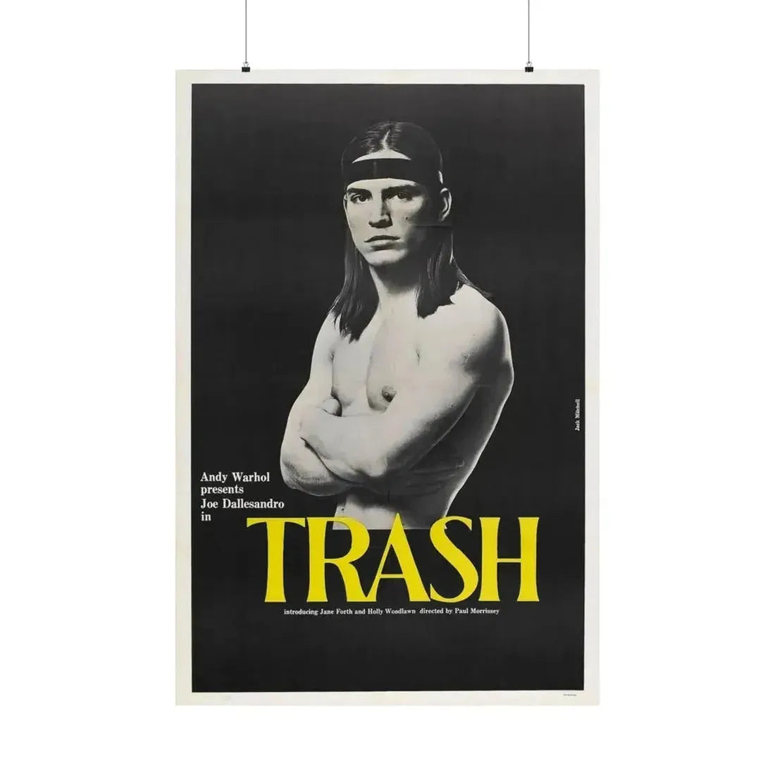 ANDY WARHOL'S TRASH 1970 - Paper Movie Poster 36" x 54" Matte - The Sticker Space