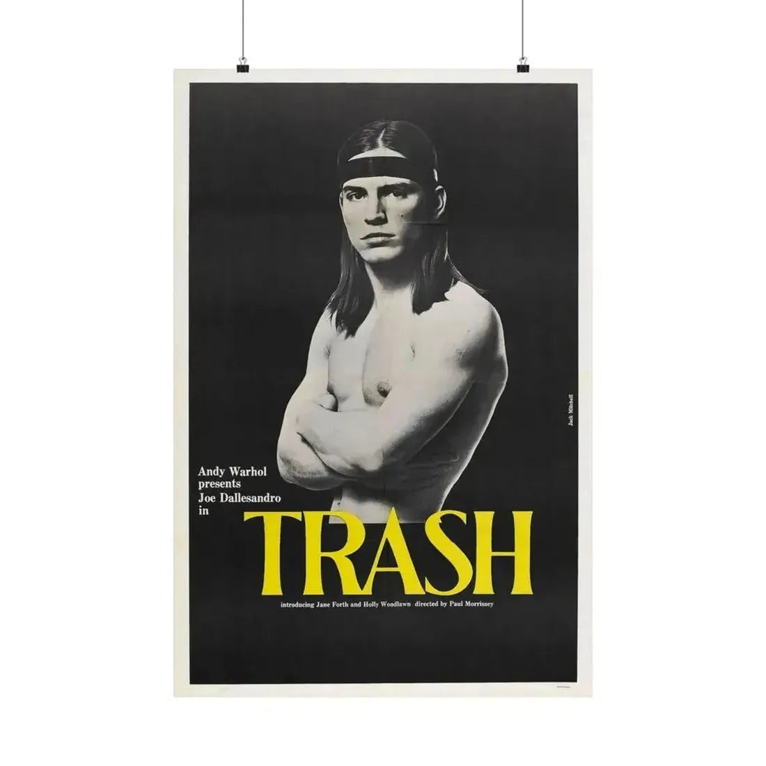 ANDY WARHOL'S TRASH 1970 - Paper Movie Poster - The Sticker Space