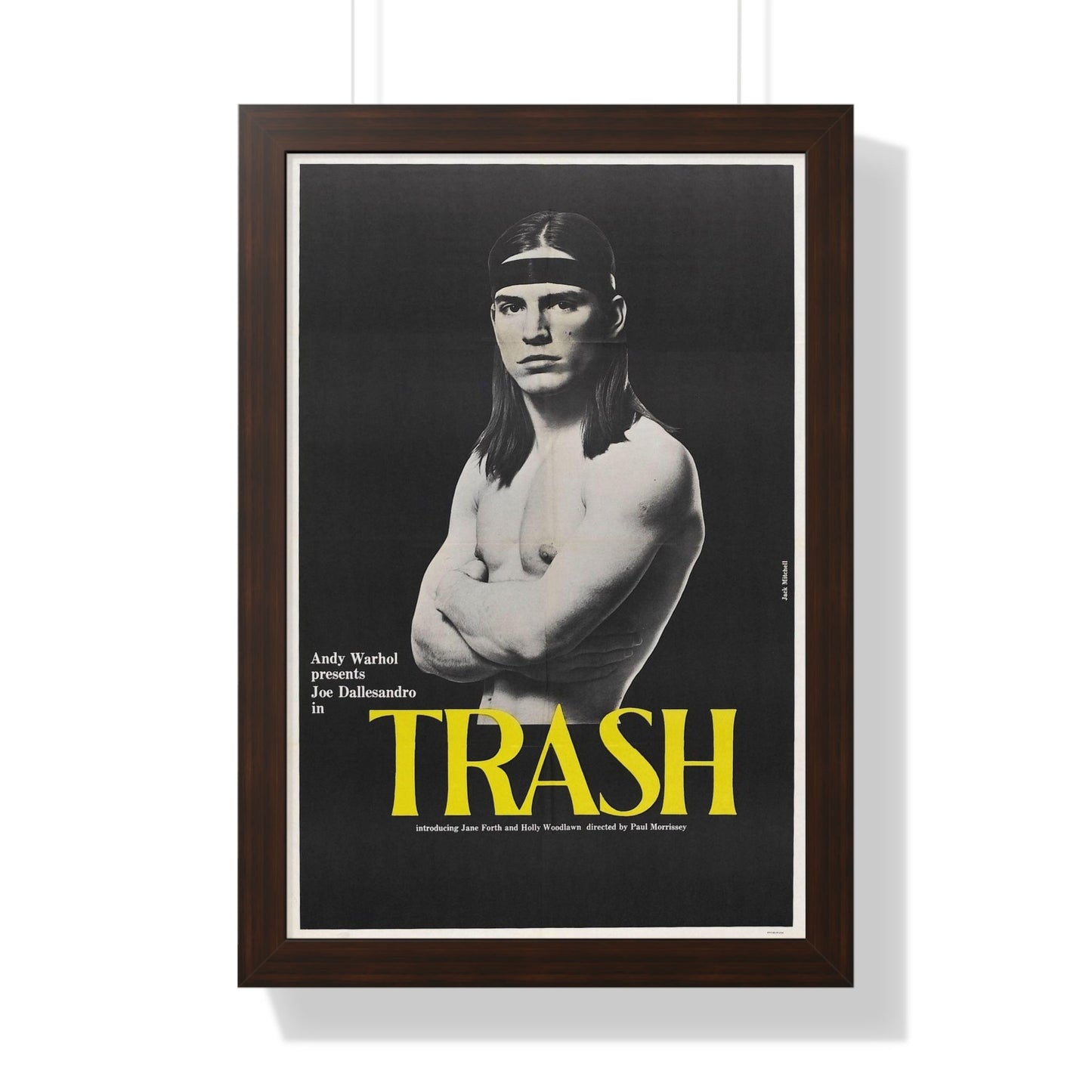 ANDY WARHOL'S TRASH 1970 - Framed Movie Poster-16″ x 24″-The Sticker Space