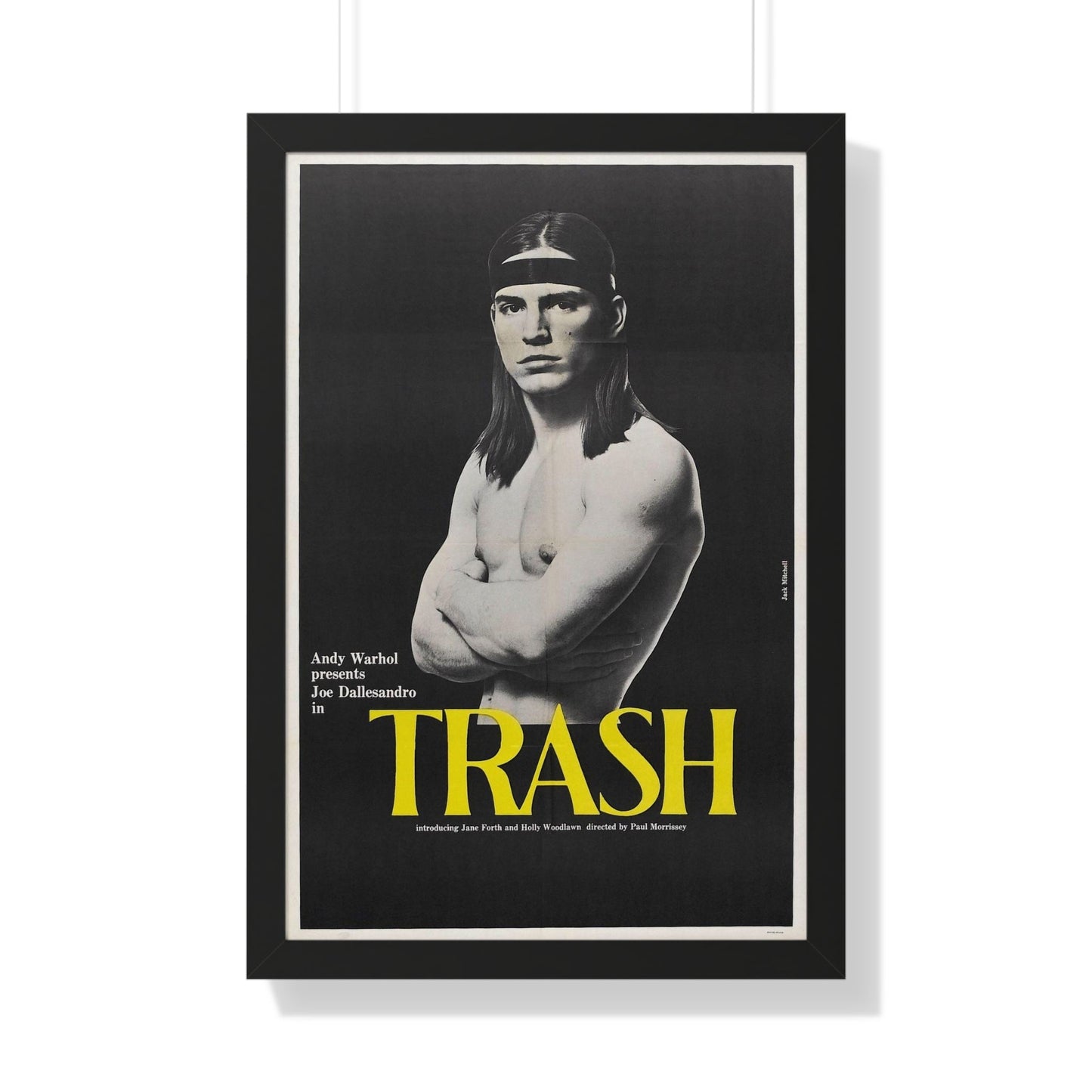 ANDY WARHOL'S TRASH 1970 - Framed Movie Poster-20" x 30"-The Sticker Space