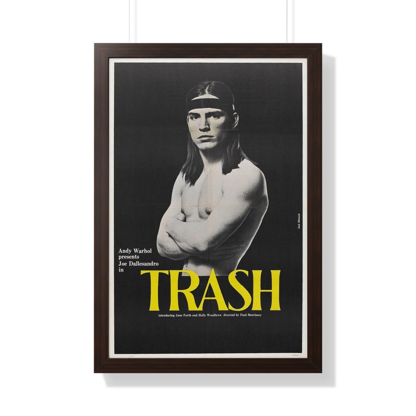 ANDY WARHOL'S TRASH 1970 - Framed Movie Poster-20" x 30"-The Sticker Space